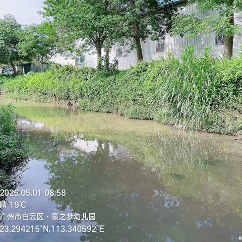 2026年5月1日对营溪村辖内沙坑涌、左干渠、和龙排渠、高田鱼塘和旧桔园鱼塘开展日常河涌巡查工作，及对河涌水质进行氨氮浓度检测，检测情况正常。