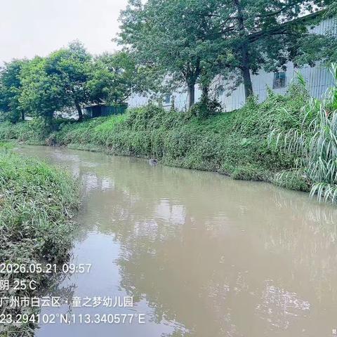 2026年5月21日对营溪村辖内沙坑涌、左干渠、和龙排渠、高田鱼塘和旧桔园鱼塘开展日常河涌巡查工作，及对河涌水质进行氨氮浓度检测，检测情况正常。