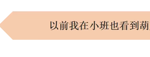 遇 见 葫 芦 -----大1班课程故事