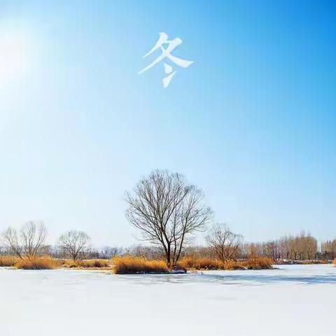 建设美丽乡村，开展道路清雪