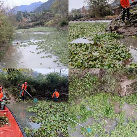 柳城畲族镇：改善宣平溪水环境  确保河畅水清