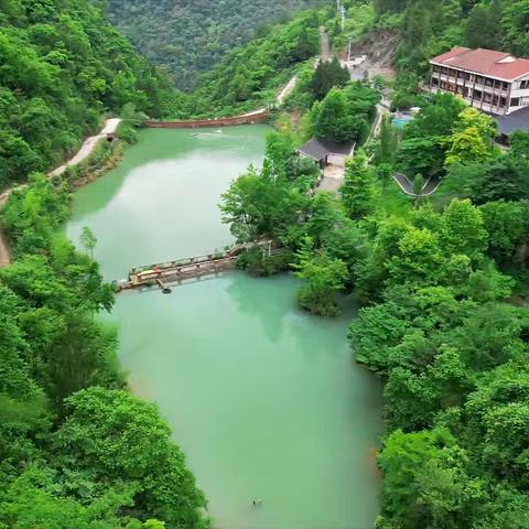 跟着猫老大去旅行——南川猴儿坡