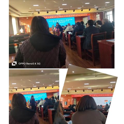 王庆村第一网格员李素琴