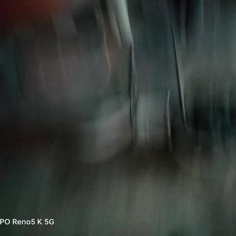 王庆村第一网格员李素琴