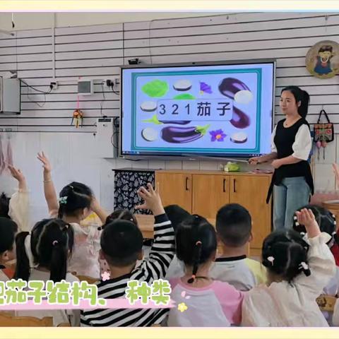 小四班班本课程-种茄子