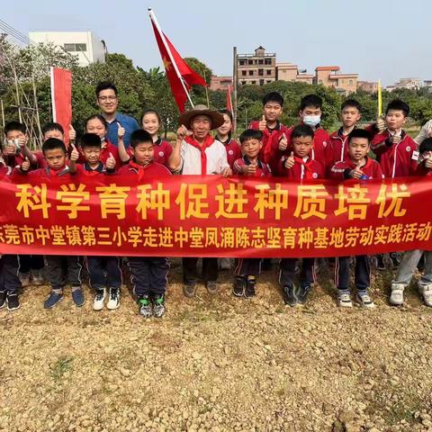 〖劳动教育〗弘扬雷锋精神，快乐“署”于我们——东莞市中堂镇第三小学践贤实践活动