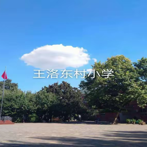 王洛镇东村中心小学2023秋招生简章