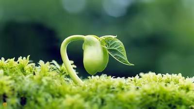 【童声种春天】—— [附一小]童声社团学期素养展示·成长绽放季