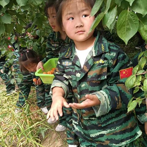 大拇指幼儿园——“杏”好有你