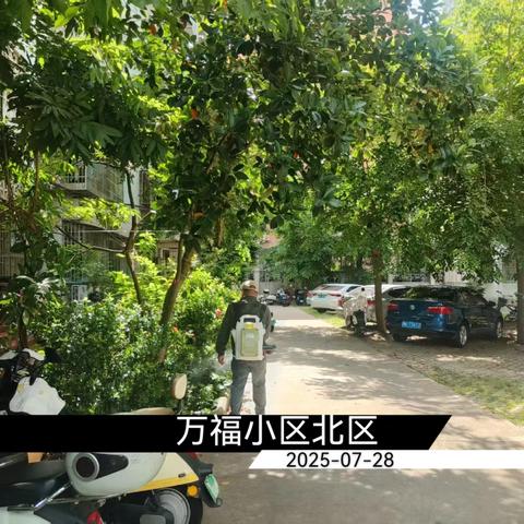 2025年7月28日人民街道病媒生物防制工作日志