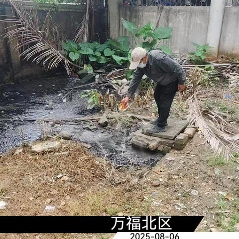 2025年8月6日人民街道病媒生物防制工作日志