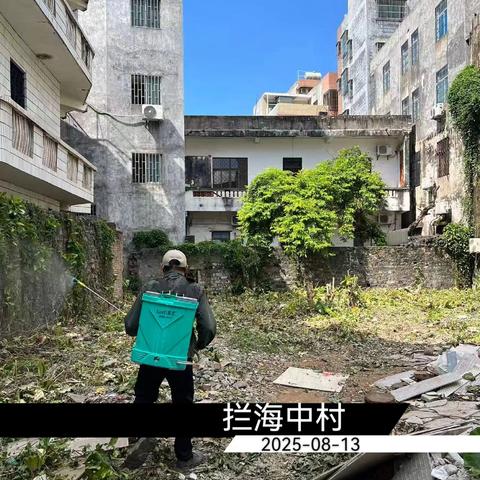 2025年8月13日人民街道病媒生物防制工作日志