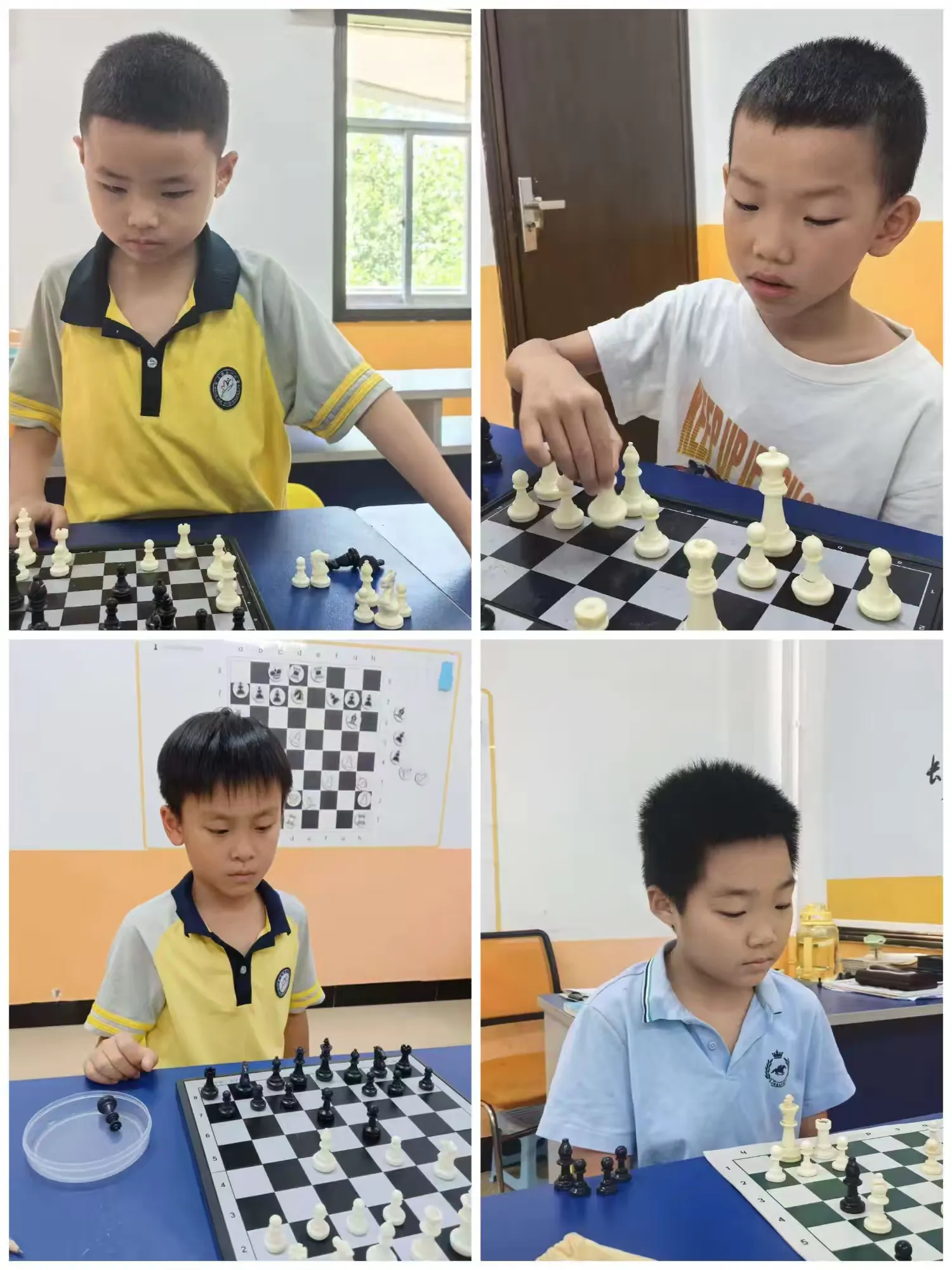简篇-小兵岳麓校区2026年暑假班第一期结课啦🥳🥳