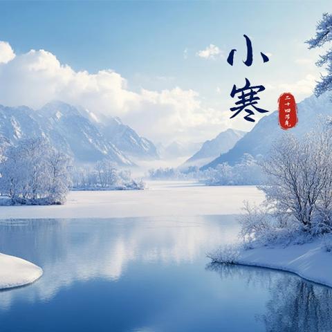 初中美术共同体八组