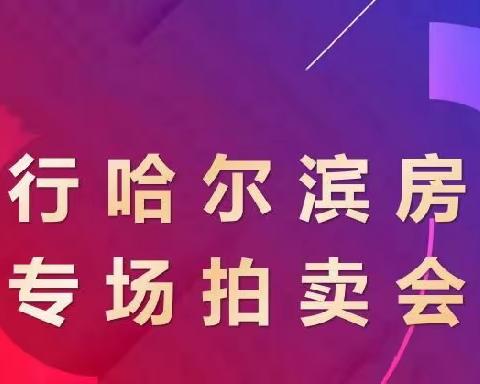 建行哈尔滨车位专场拍卖会（元旦后）