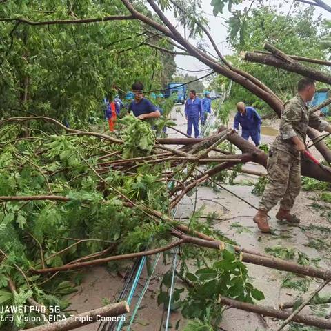 昌江县石碌镇退役军人号角志愿服务队台风后迅速行动助民恢复生活生产