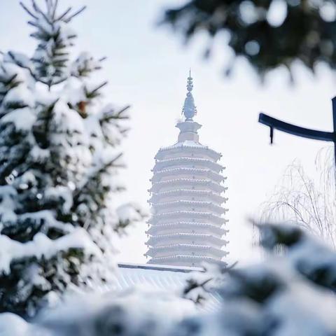 皑皑白雪落无声，扫雪护行暖人心——六街社区开展全员扫雪除冰行动