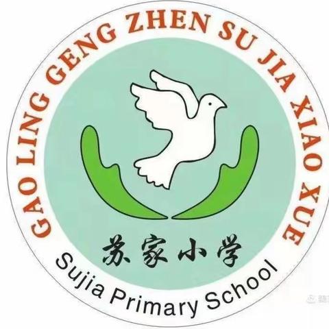 【高陵教育】口算竞赛提能力    数学思维显魅力——耿镇苏家小学数学教研组口算竞赛活动纪实