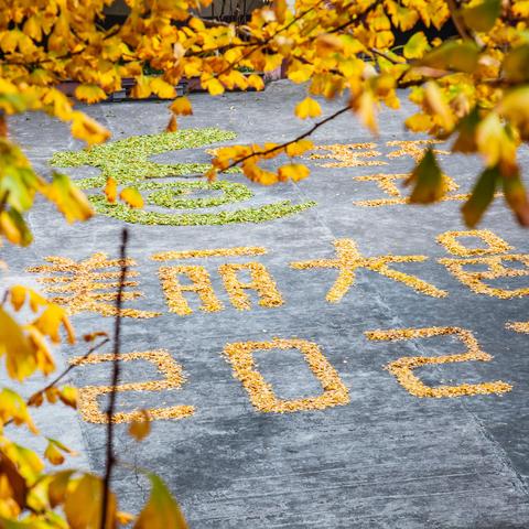 大邑的秋天，有一种浪漫叫“落叶缓扫”🍂