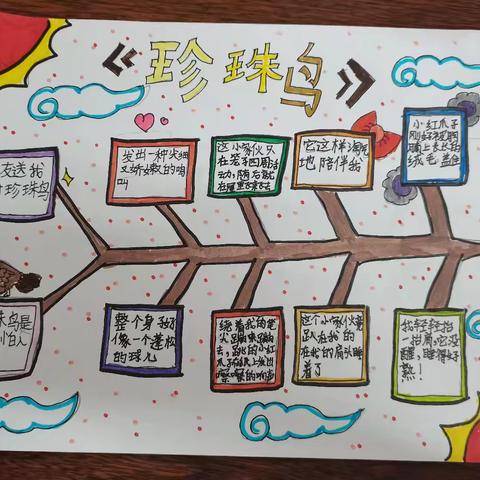 《珍珠鸟》思维导图优秀作品展