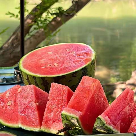 桂林市大河中心幼儿园小班美术.撕贴画《西瓜🍉甜甜》