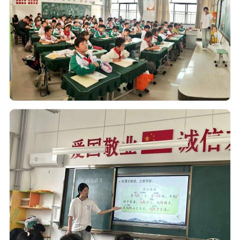 寓教于乐，研以致远——花城小学四年级语文普听课活动