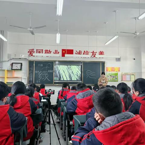 共赏语文课堂，绽放教学芳华——花城小学四年级语文组普听课活动