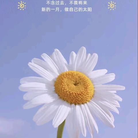 裕亚俊园2025年 ﻿4月工作简报