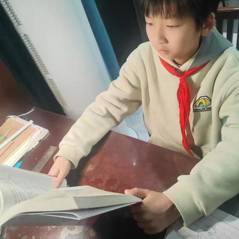 蝶彩少年自荐信