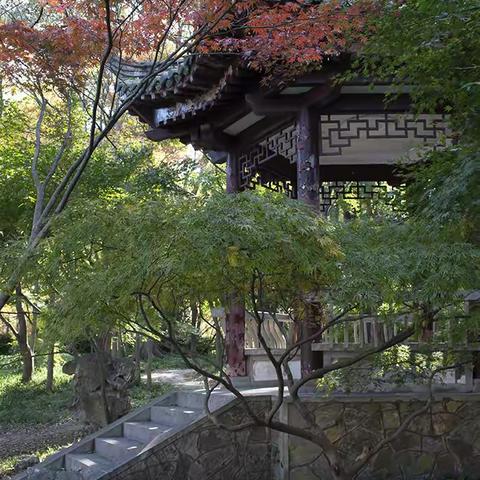 这里“枫”景独好