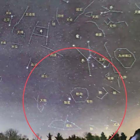 探星斗奥秘、览传统文化——中国星空科普篇二之南方朱雀之井宿