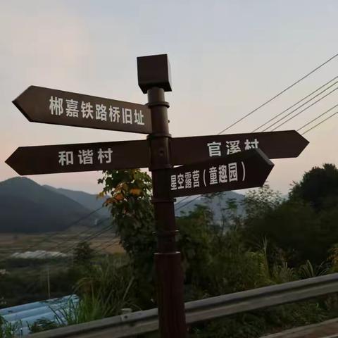政史携手，秋韵共赏 ‍ ——高二年级政治组历史组秋游徒步之旅 ‍ ‍ ‍ ‍
