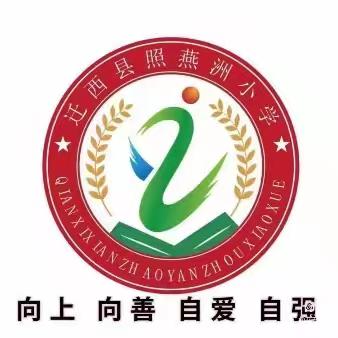 明法于心，守法于行，共筑少年梦 ——迁西县照燕洲小学法治教育讲座