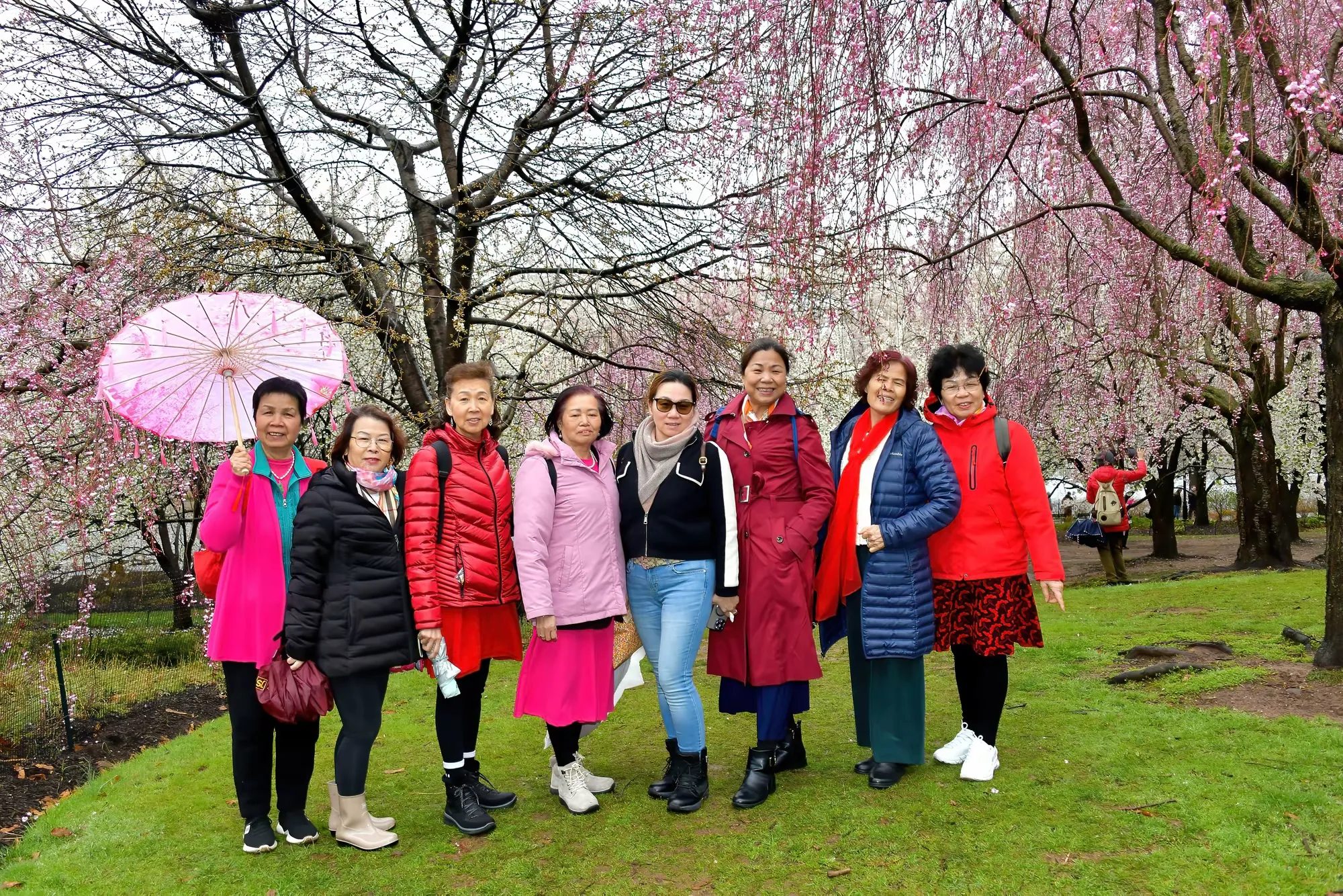 简篇-美国广东侨胞妇女联合会春遊赏樱活动圆满举办