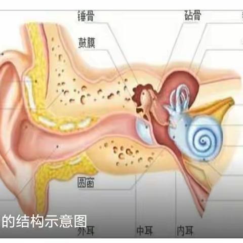 关爱聆听，幸福一生——东静庵南街小学爱耳日宣传活动