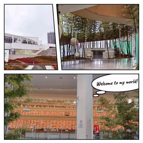 🍀 理想的学习空间