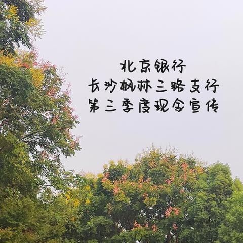 北京银行长沙枫林三路支行第三季度现金宣传