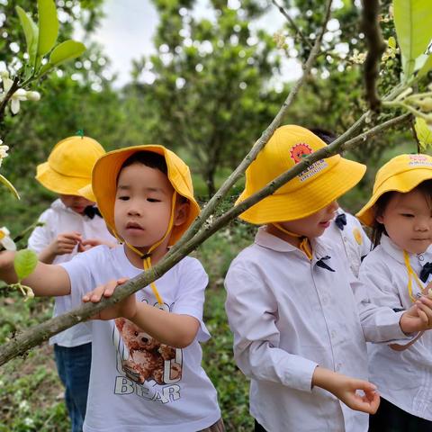 西城幼儿园2024年清明节放假通知及温馨提示