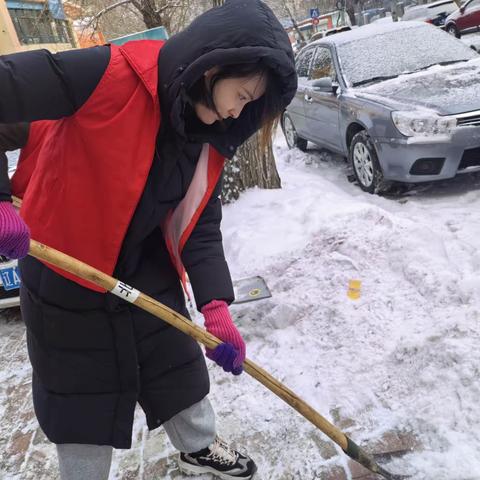 凤凰社区“我是雷锋”清雪除冰暖人心 志愿除雪活动