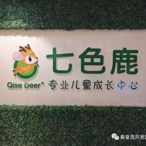 宝贝成长足迹 张泽胤