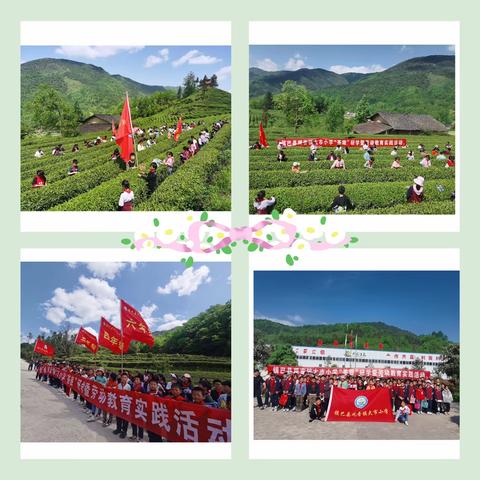 接续奋斗结硕果，笃行致远谱新篇   ———观音镇大市小学2023年工作总结