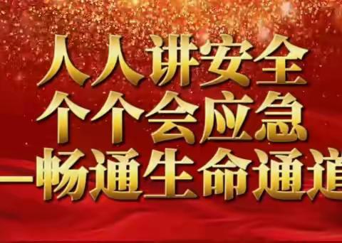 2024年全国安全生产月  人人讲安全 个个会应急 ——畅通生命通道