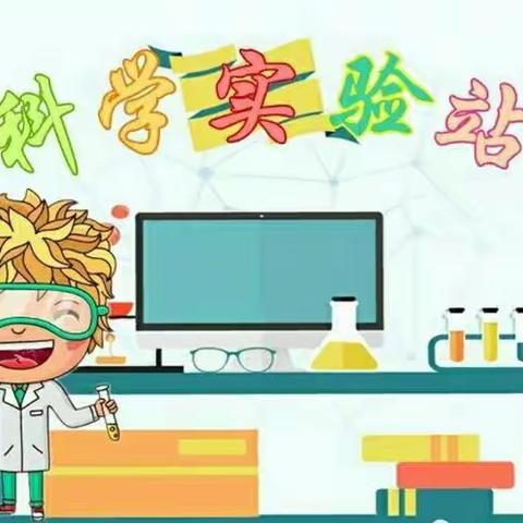 后屯幼儿园2023年中班第一学期科学