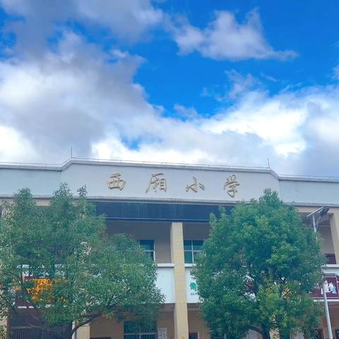 广东从善律师事务所爱心捐赠仪式 ‍                             ———丰良镇西厢小学