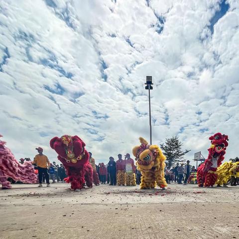 娴姐和她的北涯村