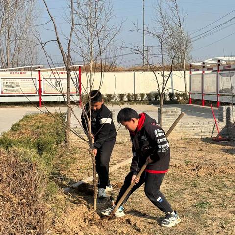 春光无限好，植树正当时-—白衣阁乡中心小学开展植树节植树活动