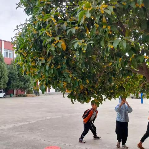 童心迎国庆，满满爱国情—下碑寺中壤希望小学迎国庆之多彩延时服务活动