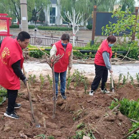 汤河社区：携手种花植绿 共建美丽家园