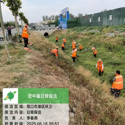 临港开发区环委办每周工作简报