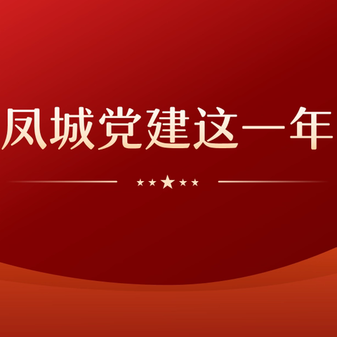 凤城党建这一年